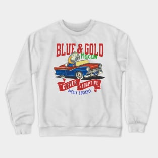 Funny and cute African Blue & Gold Macaw bird driving a classic vintage car with red white and blue flags tee Crewneck Sweatshirt